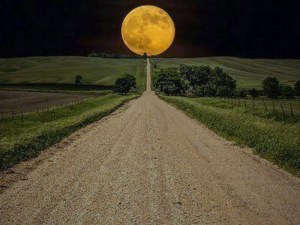Straight road 2