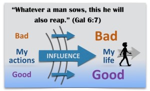 Sowing and Reaping