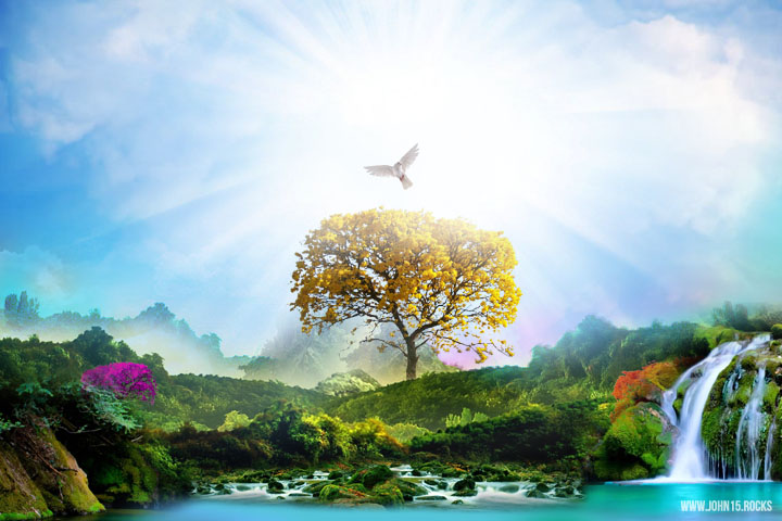9--paradise-heaven